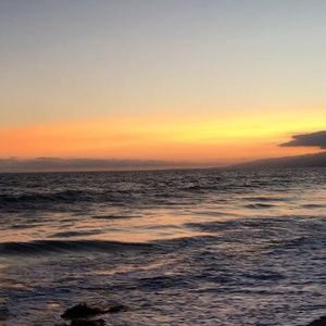 Meet your Posher, Roy